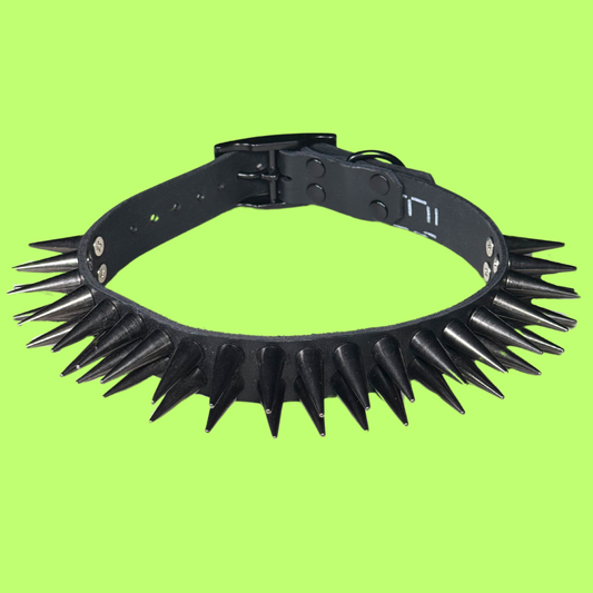 Total Blackout Collar