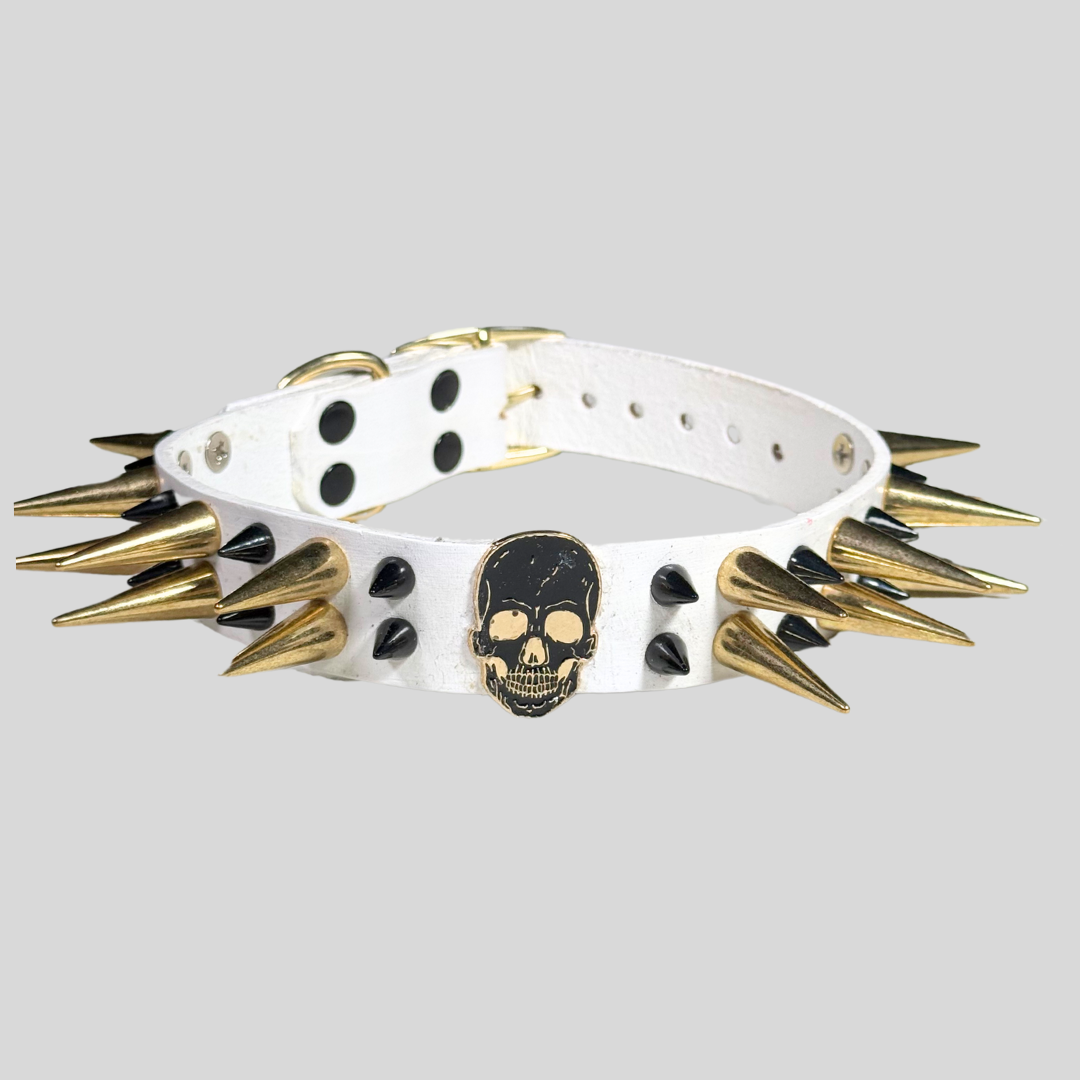Spiked Intentions Skull Collar
