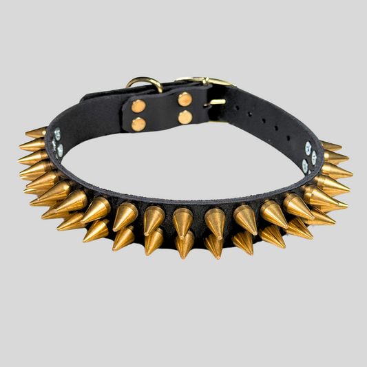 Brass Knuckle Collar